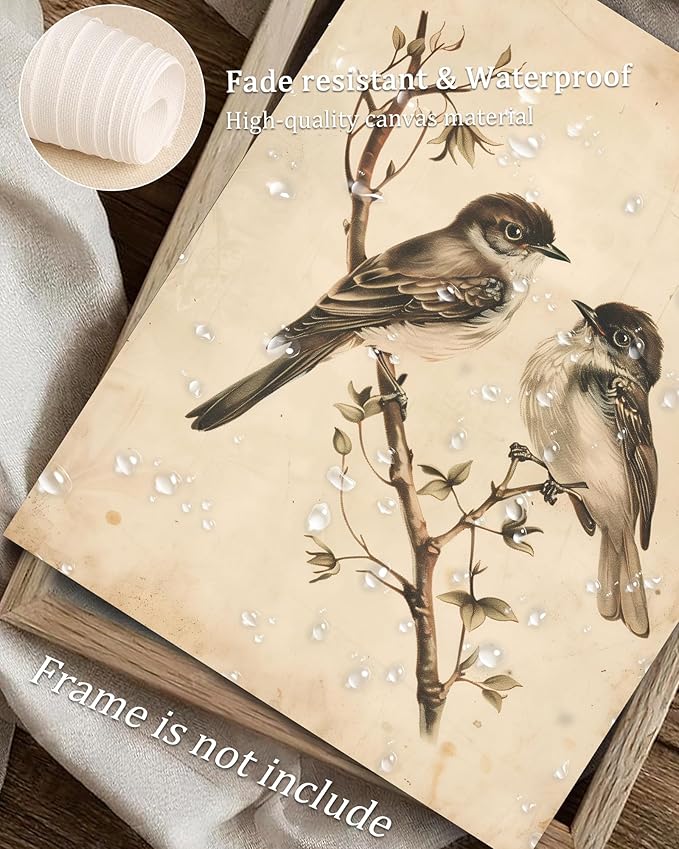Vodefoad Vintage Botanical Birds Print Neutral Summer Bird Printable Wall Art Minimalist Nature Decor Rustic Cottage Summer Canvas Decoration Classic Neutral Animal Artwork Canvas Wall Decor for Home, Bedroom, Living Room, Bathroom, Lake House - 8x10In...