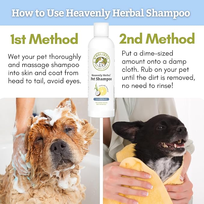 Wholistic Pet Organics Pet Shampoo Concentrate: USDA Organic Cat and Dog Shampoo for Sensitive Skin and Coat Support - Mild and Non-Irritating, Natural, Non-Toxic, Sulfate-Free, & Cruelty-Free - 16 Oz