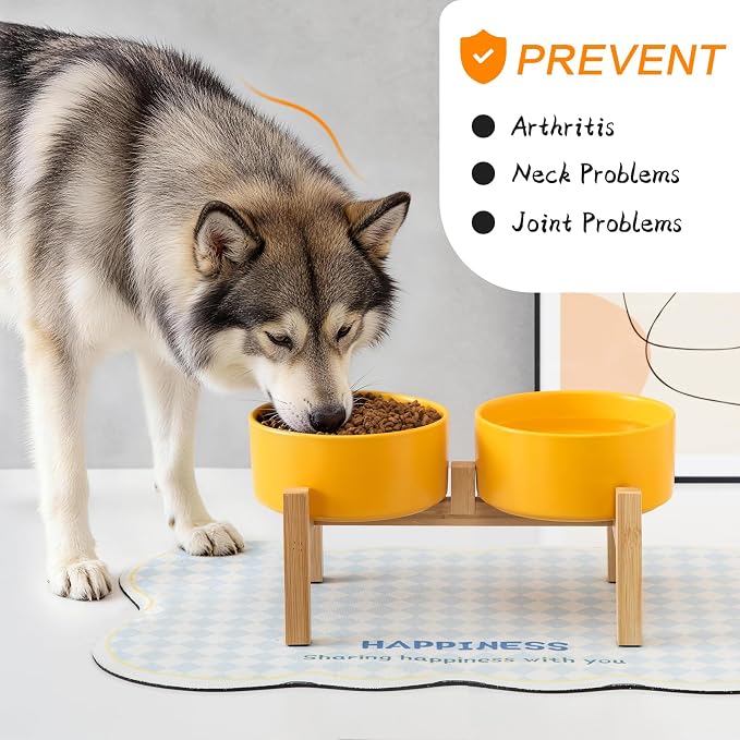 Raised Ceramic Dog Bowl Set - Elevated Dog Bowls with Non Slip Bamboo Stand, Food and Water Bowl Set for Small and Medium Breed Dogs, Pet Bowls, Weighted Dogs Dishes (6'', 2 * 30OZ, Yellow)