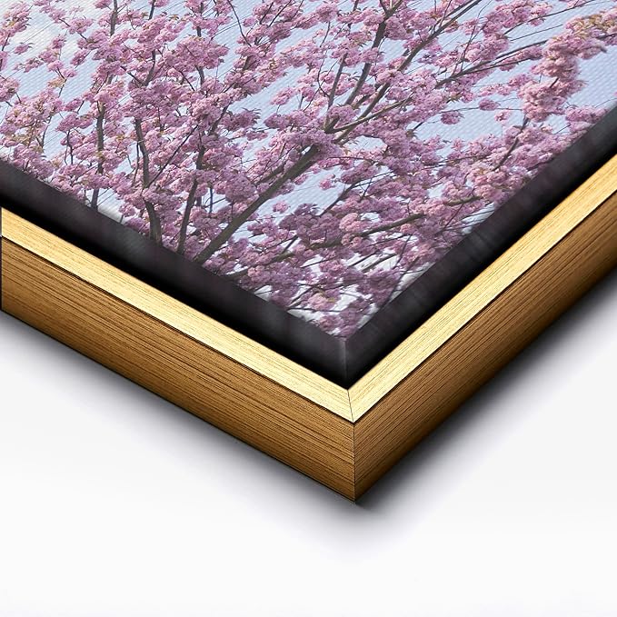 Monem Art Cherry Blossom Spring Sky Photography Print - Floral Nature Art Poster - Wall Decor for Living Room, Bedroom or Office - 24x32 Gold Framed CANVAS Wall Art by Mareike Bohmer