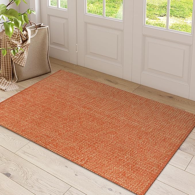 LEEVAN Washable Kitchen Rugs 3x5, Terra Bedroom Rug, Cotton Woven Entryway Rug, Modern Braided Door Mat, Farmhouse Living Room Rugs, Reversible Carpet for Laundry Room Front Porch Outdoor Doormat