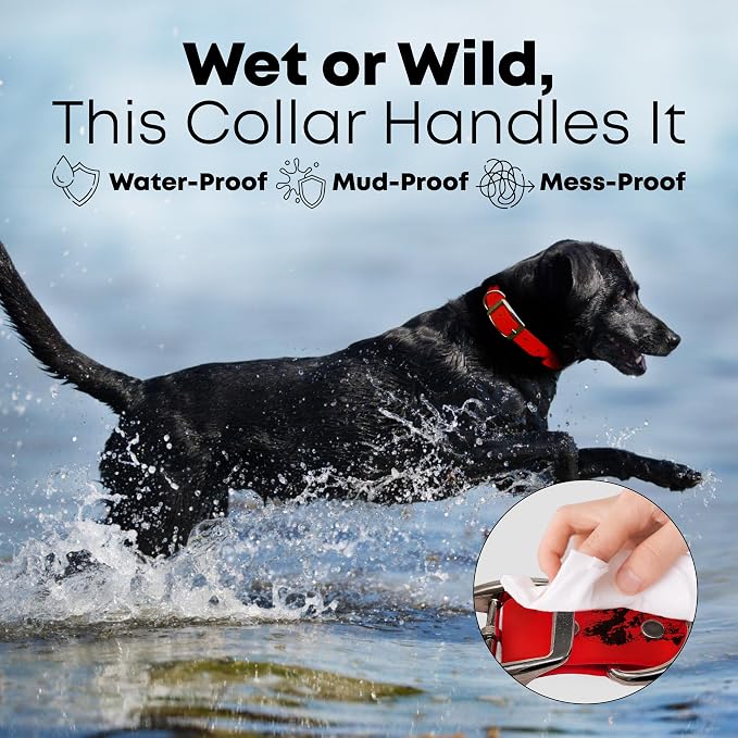 Regal Dog Products Medium Red Dog Collar with Heavy Duty Double Buckle & D Ring | Vinyl Coated, Custom Fit, Adjustable Biothane Dog Collar Chew Resistant Waterproof Collar for Dogs