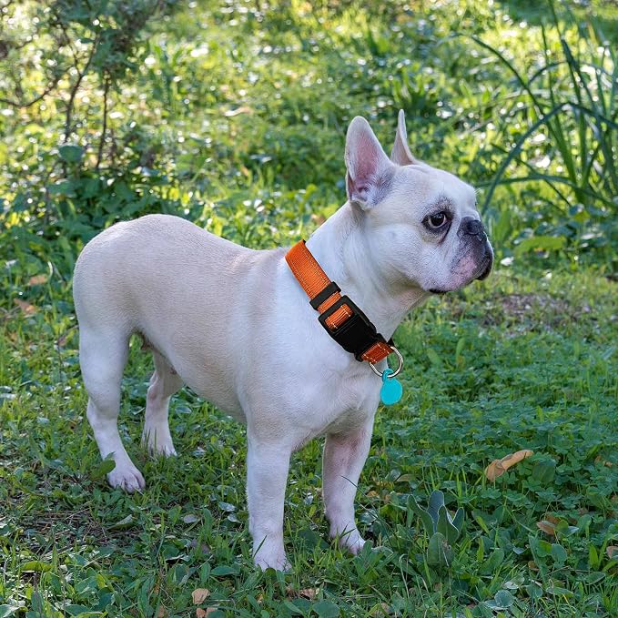 Ladoogo Reflective Dog Collar Padded with Soft Neoprene Breathable Adjustable Nylon Dog Collars for Small Medium Large Dogs (Medium (Pack of 1), Orange Collar+Leash)
