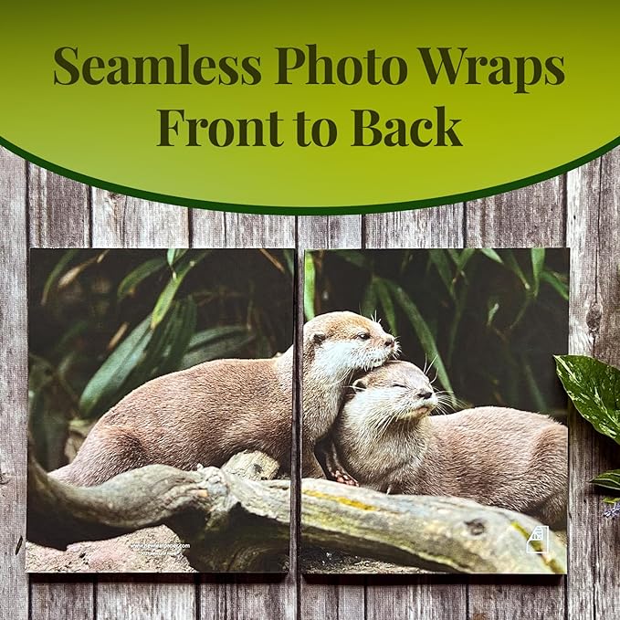 Photoreal Journal, 100% Recycled, Otters, 9.75" x 7.75", 192 Pages Dotted Grid, Perfect Bound, FSC Certified, Made in USA