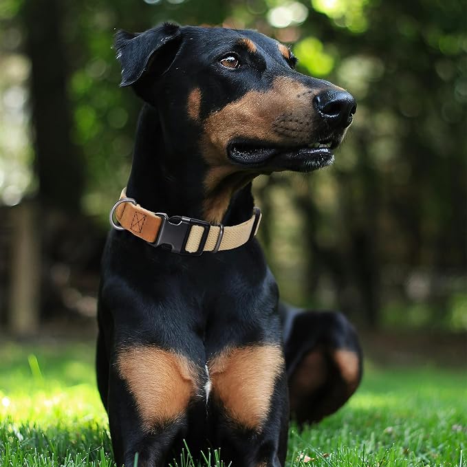 Mile High Life Genuine Leather Dog Collar, Soft Cotton Pet Collars with Heavy Metal Buckle for Small Large Dogs (Khaki, S Neck 11"-15")
