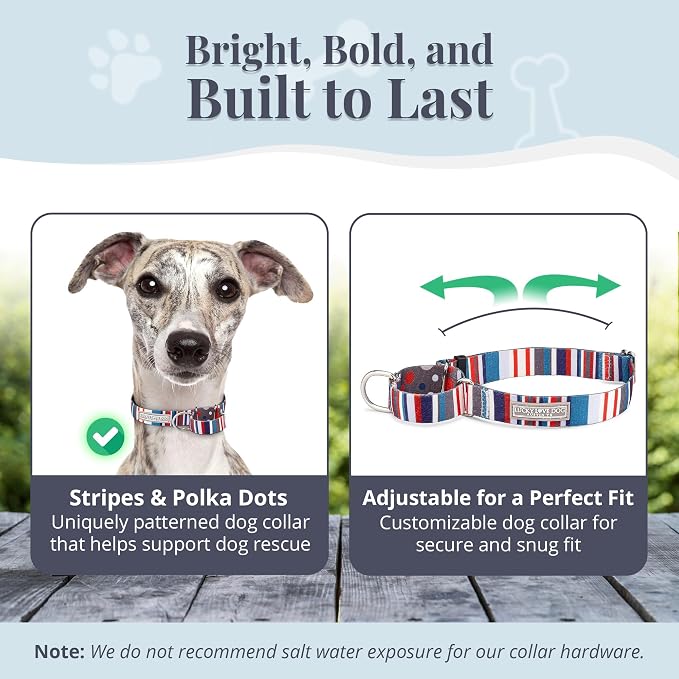 Lucky Love Dog - Adjustable Dog Collar with Easy Click Buckle for Medium, Durable, & Comfortable for Male & Female Dogs, Pet Collar for Puppies & Adult Dogs - Linus Martingale, Medium