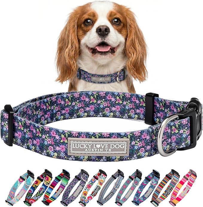 Lucky Love Dog Martingale Dog Collar - Adjustable, No-Slip, Durable, & Soft Webbing Collar for Male and Female Dogs Ideal for Training & Walking - Primrose, Small
