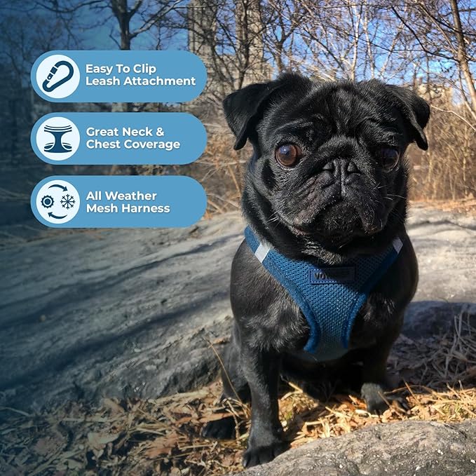 Best Pet Supplies Voyager Step-in Air All Weather Mesh Harness and Reflective Dog 5ft Leash Combo with Neoprene Handle, for Small, Medium and Large Breed Puppies - Set (Blue), X-Lrage