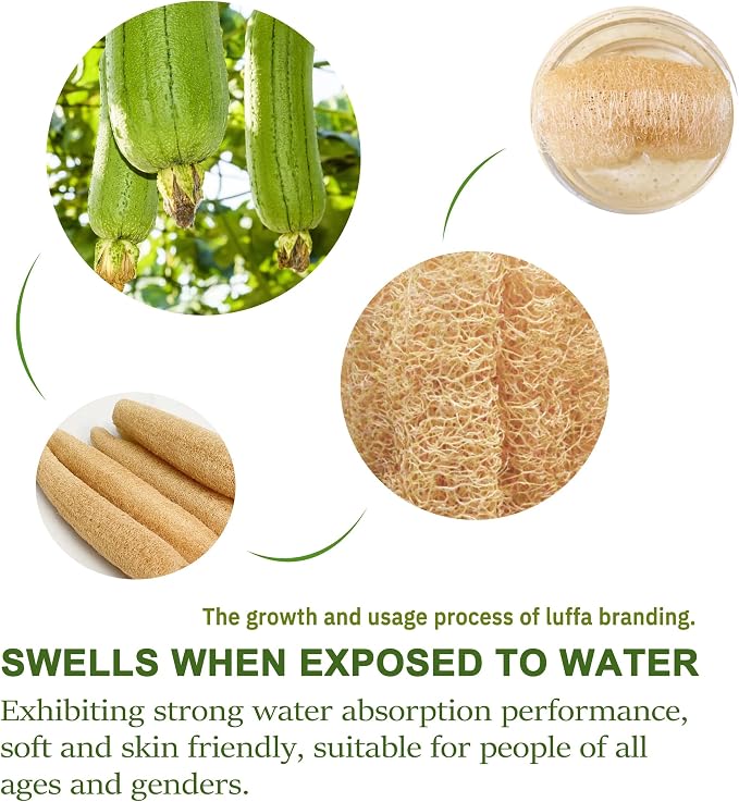 100% Natural Egyptian Loofah Sponge – Premium Exfoliating Body Scrubber for Shower, Deep Cleansing & Gentle Skin Exfoliation, Eco-Friendly & Biodegradable, Pack of 3