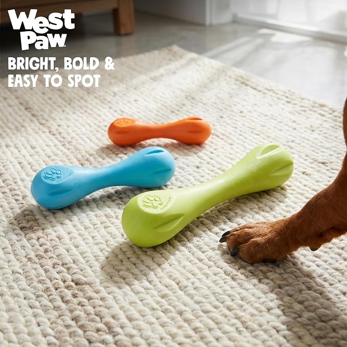 WEST PAW Zogoflex Hurley Dog Bone Chew Toy – Floatable Pet Toys for Aggressive Chewers, Catch, Fetch – Bright-Colored Bones for Dogs – Recyclable, Dishwasher-Safe, Non-Toxic, Small, Aqua