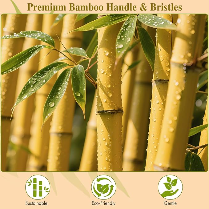 BFWood Bamboo Paddle Hairbrush with Bamboo Bristles for Massaging Scalp