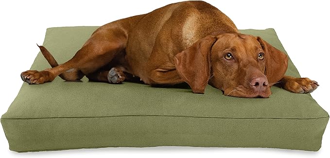 X-Small -24 x 18 x 4 - Cactus Premium Organic Hemp Dog Bed - CertiPUR Fill - Removeable Cover