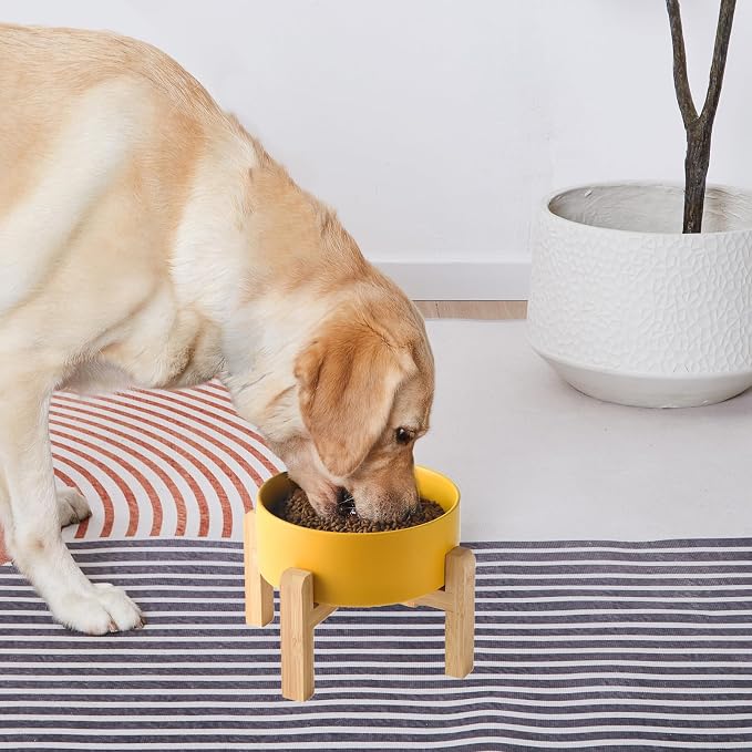 8'' Ceramic Raised Dog Bowl - 70Oz Dog Food & Water Bowl with Elevated Non-Slip Bamboo Stand, Dishwasher & Microwave Safe, Anti Vomiting Heavy Duty Pet Bowl for Medium and Large Dogs, Yellow