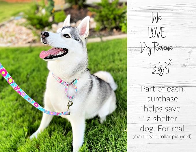 Lucky Love Dog Martingale Dog Collar - Adjustable, No-Slip, Durable, & Soft Webbing Collar for Male and Female Dogs Ideal for Training & Walking - Caroline, Small