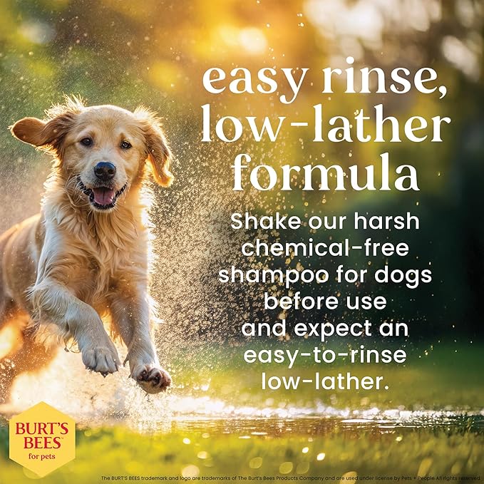 BURT'S BEES FOR PETS Itch Soothing Shampoo with Honeysuckle, 95% Natural Origin Formulas, Dog Shampoo for Itchy Dogs, Dog Shampoo Itchy Skin Relief, 32 oz