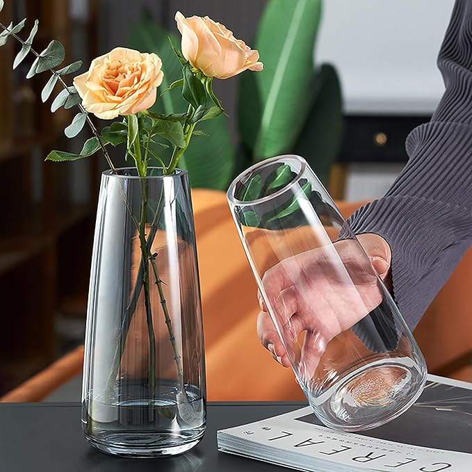 FANTESTICRYAN Modern Glass Vase Crystal Clear Glass Vase for Home Office Decor (Crystal Clear)