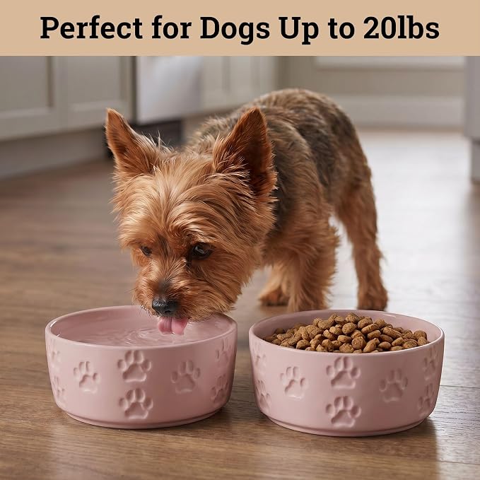 Ceramic Dog Bowl Set of 2 with Anti-Skid Base - 5.5" Wide x 2" Tall Ceramic Dog Bowls for Small Dogs - 2 Cup Capacity Food and Water Bowls for Dogs - Rubber Bottom Pet Bowl Set of 2 for Small Pets