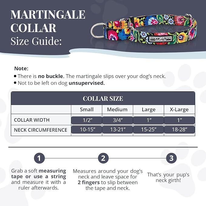 Lucky Love Dog Martingale Dog Collar & Leash - Adjustable, No-Slip, Durable, Comfortable, Soft Webbing, & Stylish Patterned Collar & Leash Set for Male and Female Dogs - Blackbird Combo, Medium