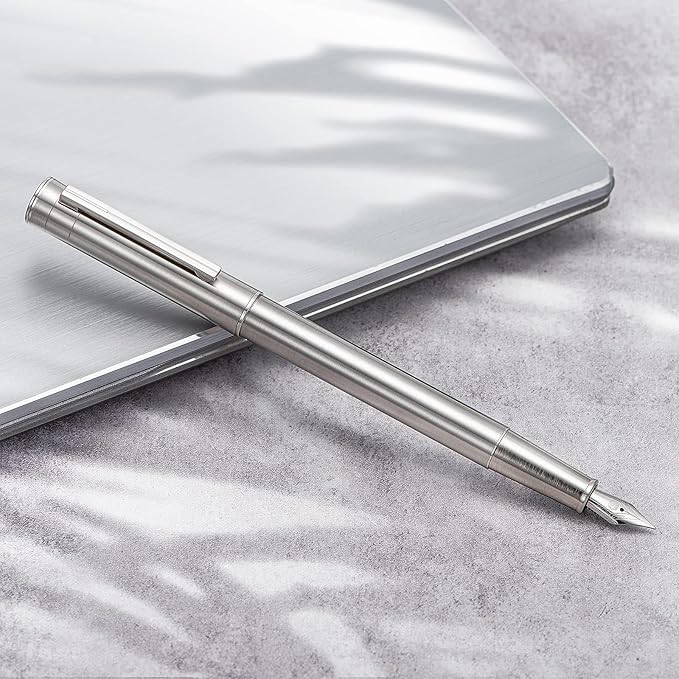 HONG DIAN Forest Pro Silver Stainless Steel Fountain Pen, Extra Fine Nib Classic Design Smooth Writing Pen with Converter and Metal Pen Case Set