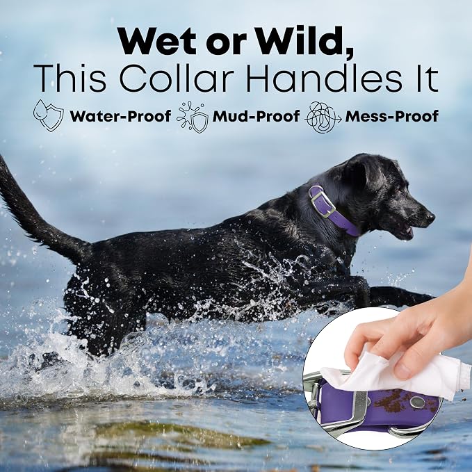 Regal Dog Products Medium Purple Dog Collar with Heavy Duty Double Buckle & D Ring | Vinyl Coated, Custom Fit, Adjustable Biothane Dog Collar | Chew Resistant Waterproof Collar for Dogs