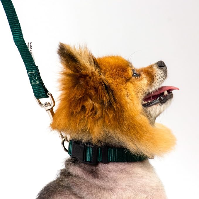 Country Brook Petz - Everyday Nylon Dog Collar and Leash - 10+ Cool Colors (3/4 Inch, Medium, Green)