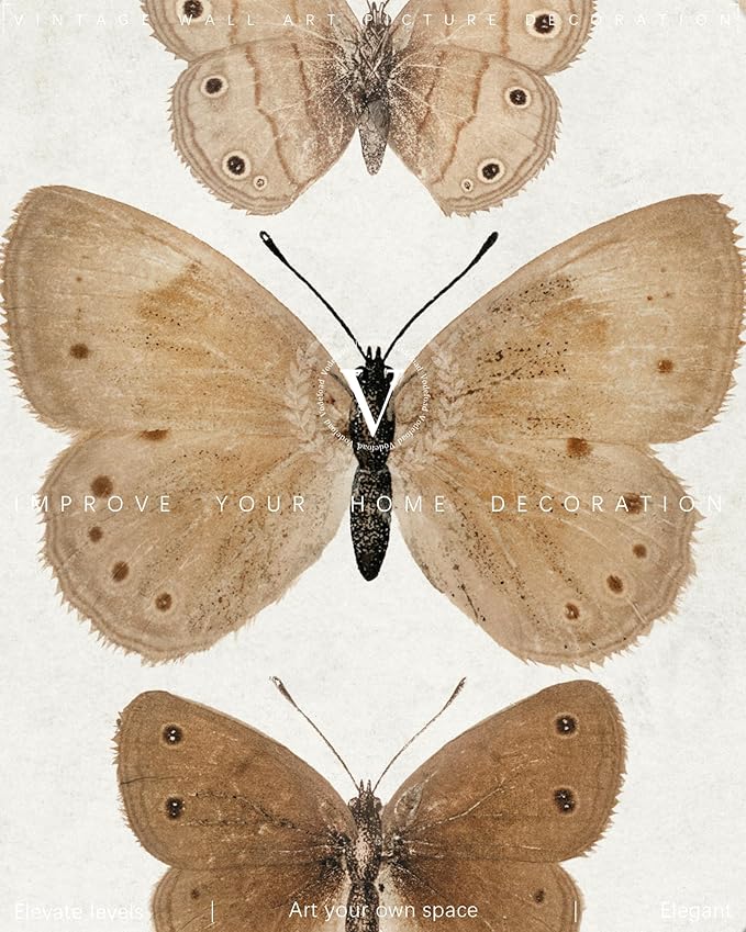 Vodefoad Butterfly Vintage Wall Art Retro butterfly Canvas Decor Gallery Bedroom Bathroom Shelf Prints Retro Butterfly Illustration Room Decor Posters wall Decor Antique Paintings Home Farmhouse Wall Decor-8x10'' Unframe