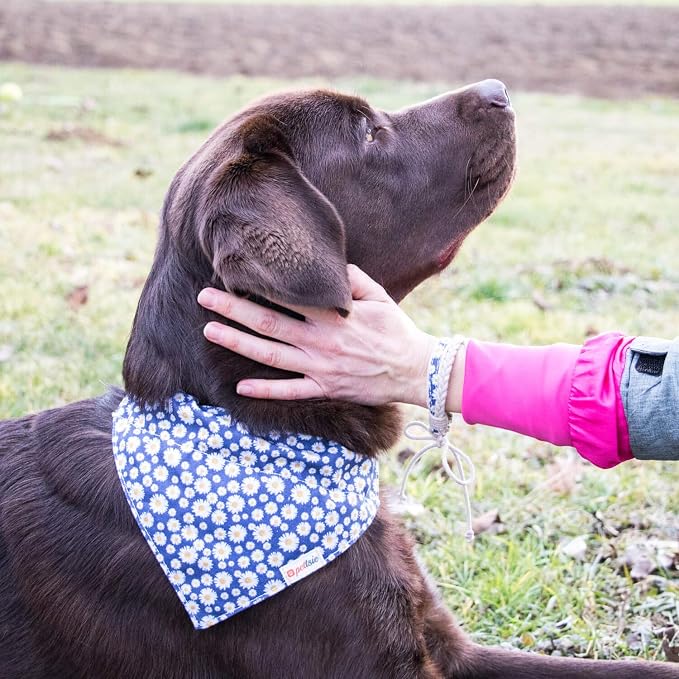 Pettsie Hemp Dog Bandana Collar & Matching Owner Friendship Bracelet | Adjustable, Durable Hemp, Soft & Comfortable, Secure D-Ring, Matching Friendship Bracelet, Blue