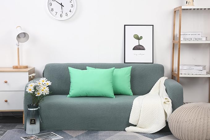 TangDepot Handmade Decorative Solid 100% Cotton Canvas Throw Pillow Covers/Cushion Covers, 45 Colors Available - (12" x 20" , Mint Green, 1 Count (Pack of 1)) | 100% cotton, same-color zip, machine wash & air dry. For living room, bedroom, office, car....