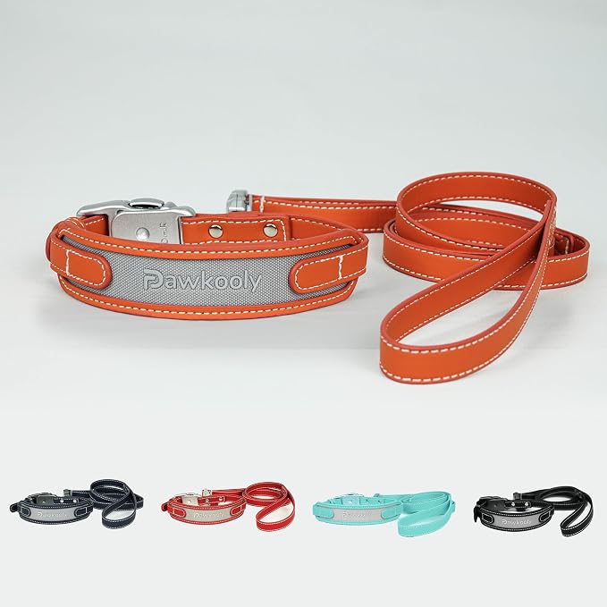 MagEase Dog Collar with 4FT Leash | Adjustable | Anti-Wrinkle, Bite & Stain-Resistant Leather | Soft & Skin-Friendly | 450LB Escape-Proof Magnetic Buckle (Orange, Medium)