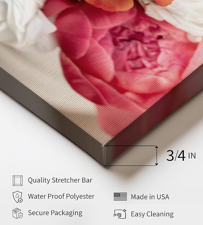 Monem Art Pink Peony Floral Macro Photography Print - Romantic Flower Art Poster - Wall Decor for Living Room, Bedroom or Office - 12x16 STRETCHED CANVAS Wall Art by Mareike Bohmer