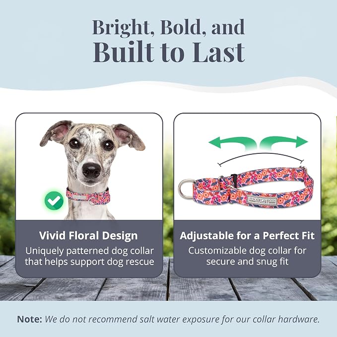 Lucky Love Dog Martingale Dog Collar & Leash - Adjustable, No-Slip, Durable, Comfortable, Soft Webbing, & Stylish Patterned Collar & Leash Set for Male and Female Dogs - Rosie Combo, Medium