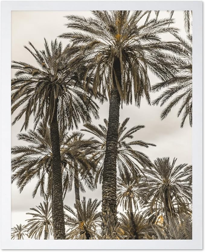 Monem Art Vintage Palm Tree Photography Print - Minimalist Tropical Landscape Poster - Wall Decor for Living Room, Bedroom or Office - 8x10 White Framed Wall Art by Mareike Bohmer