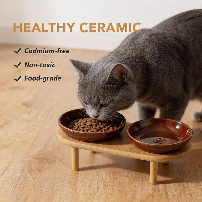 Havniva Elevated Cat Bowls Raised Ceramic Cat Bowl, 5.7” Wide Opening Cat Food Bowl Whisker Friendly Cat Dish Anti-Slip with Bamboo Stand, Shallow Pet Food & Water Bowl for Indoor Cats