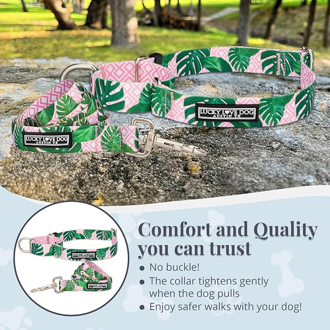 Lucky Love Dog Martingale Dog Collar & Leash - Adjustable, No-Slip, Durable, Comfortable, Soft Webbing, & Stylish Patterned Collar & Leash Set for Male and Female Dogs - Laguna Mart Combo, Medium
