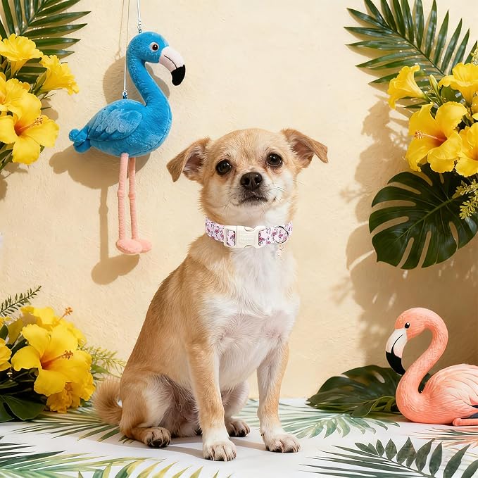 DOGWONG Cute Pet Dog Collar Pink Flamingos Cotton Dog Collar- Soft Girl Puppy Adjustable Pet Collars for Small Medium Large Dogs,M