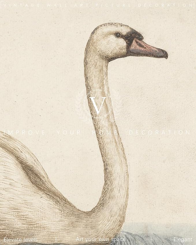 Vodefoad Vintage Wall Art Prints Decor Classical Swan Canvas Oil Painting Poster Pastel Watercolor Swan Vintage Art Pictures Farmhouse Style Wall Decor for Gallery Nursery Bedroom Bathroom Office - 8x10Inch Unframe