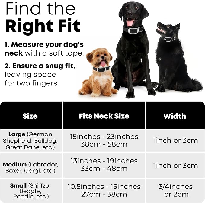 Regal Dog Products Large Black Dog Collar with Heavy Duty Double Buckle & D Ring | Vinyl Coated, Custom Fit, Adjustable Biothane Dog Collar | Chew Resistant Waterproof Collar for Dogs