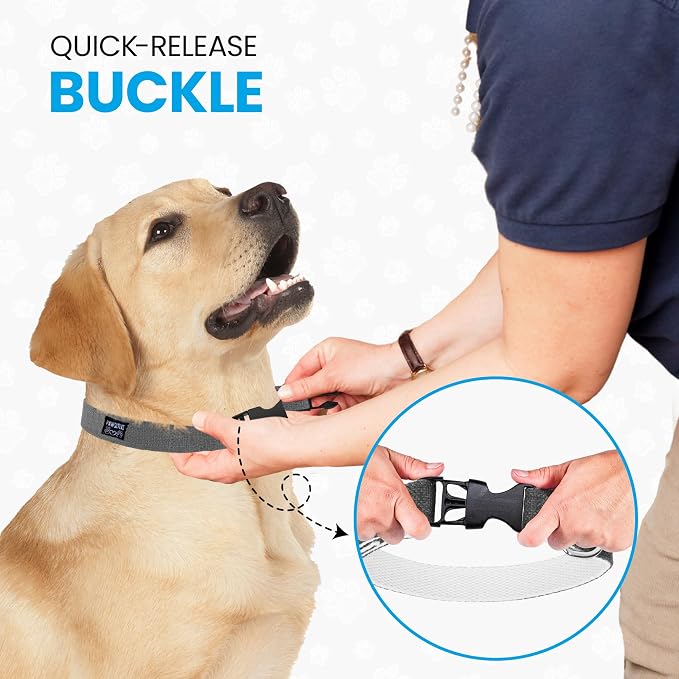 Hypoallergenic Dog Collar - Great for Sensitive Skin, Soft Collar for Dogs, Soft Organic & Earth Friendly (Small, Black)