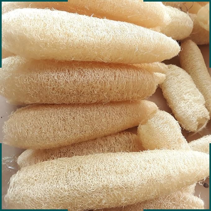 10 Pcs (5 – 7 Inches) Shower Loofah Exfoliating Body Scrubber | Natural Loofah Sponge | Bath for Loofah for Men and Women | Pack of 10
