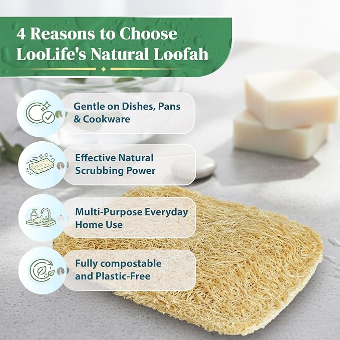 Natural Loofah Kitchen Sponge (3 Pack) - Natural Sponges for Dishes - Eco Friendly and Compostable Sponges - Biodegradable Plant Based Kitchen Dish Sponge - Plastic Free Dish Scrubber