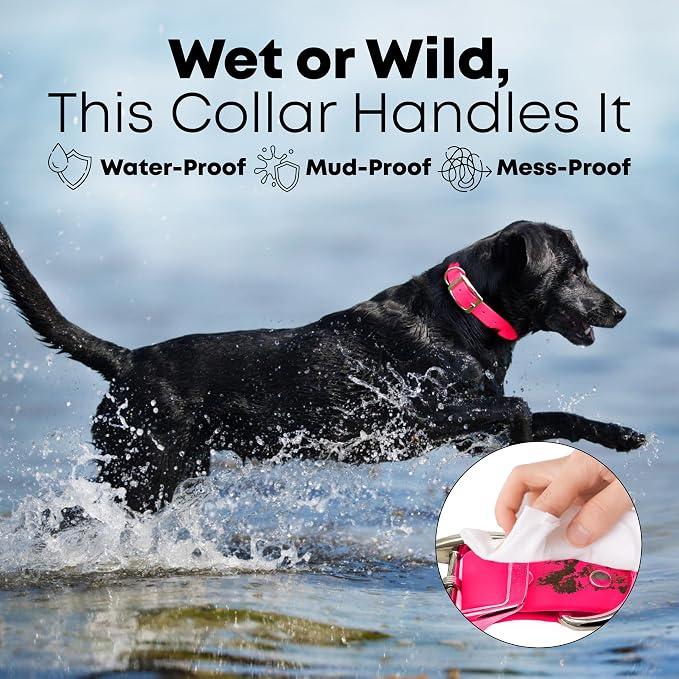 Regal Dog Products Small Pink Waterproof Dog Collar and Leash Set | Heavy Duty Double Buckle & D Ring - 5'ft Leash | Adjustable Biothane Dog Collar | Chew Resistant Waterproof Collar for Dogs