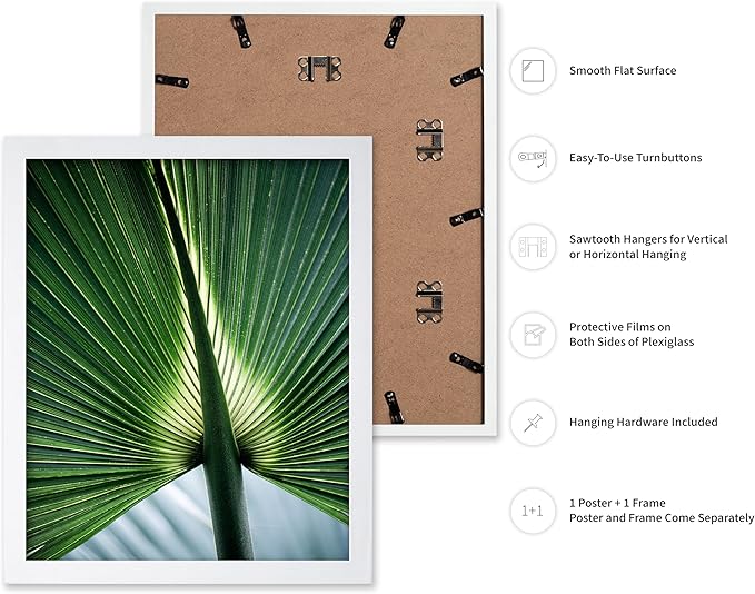 Monem Art Tropical Palm Leaf Macro Photography Print - Minimalist Botanical Nature Art Poster - Wall Decor for Living Room, Bedroom or Office - 12x16 White Framed Wall Art by Mareike Bohmer