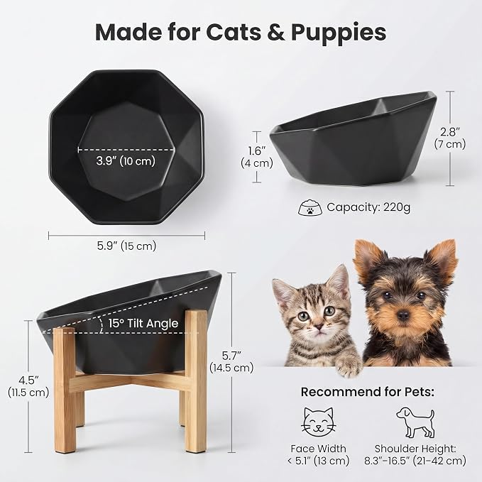 Raised Cat Bowl - Ceramic Tilted Elevated Food Bowl for Indoor Cats & Small Dogs - Shallow Wide Whisker-Friendly Design - Pet Dish Suitable for Feeding Dry, Wet, Treats & Canned Food - Black