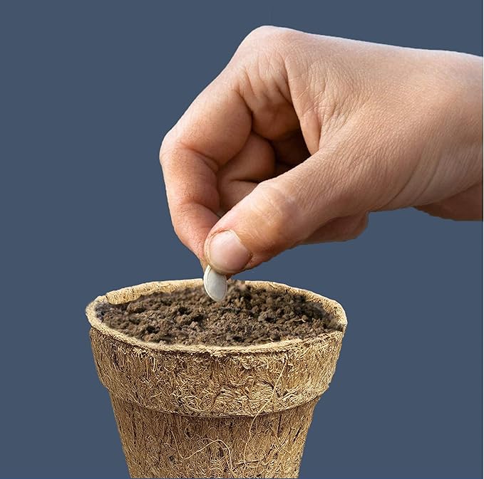 Deepthi 3-Inch Coco Coir Nursery Pots – Pack of 12 Biodegradable Seed Starter Cups – Organic Coir Peat Pots for Seedlings, Herbs, Indoor/Outdoor Gardening – Eco-Friendly Planting Pots