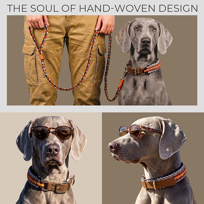 Tirevt Hand-Woven Dog Collar and Leash Set:Color-Block Design, Premium Reinforced Buckle, Adjustable Artisan Paracord for Puppies, Small, Medium & Large Dogs (Orange, L)