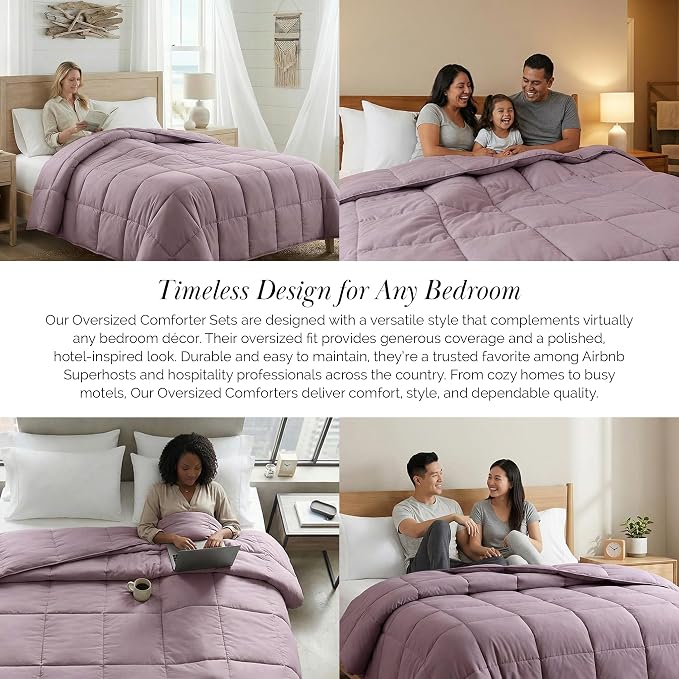 Southshore Fine Living, Inc. Queen Size Comforter, Full Size Duvet Insert, Down Alternative Comforter Queen Size, Soft Fluffy Bedding, Full Size All Season Comforters for Vacation Homes, Lavender