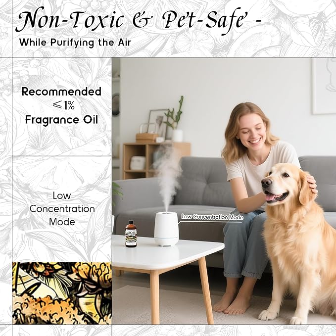 HIQILI Helichrysum Fragrance Oil, DIY Skin Care & Body Product - 5.07 Fl Oz | Suitable for Essential Oil Diffuser, Candle & Soap Making, DIY Helichrysum Balm, Long-Lasting Scent