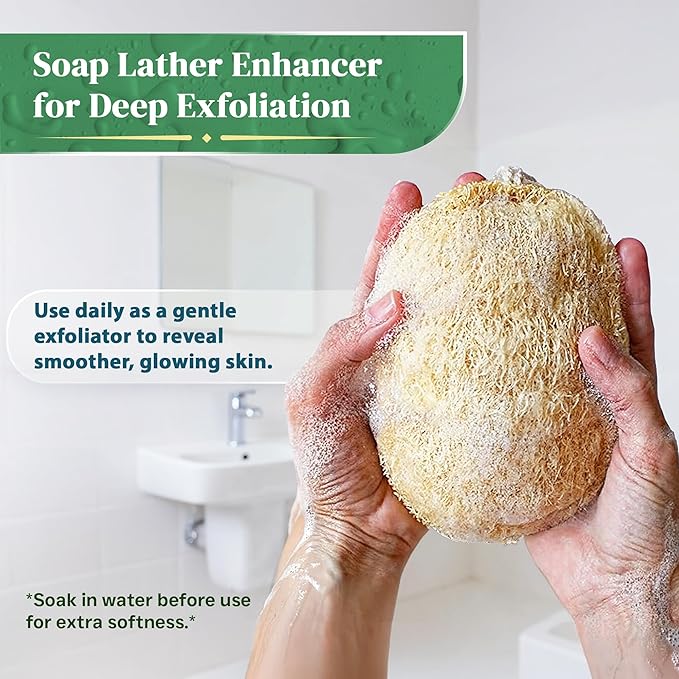Natural Loofah Exfoliating Sponge (4 Pack) - Organic Loofah for Body - Biodegradable Shower Luffa - Natural Bath Sponges Loufa - Estropajos para el Cuerpo