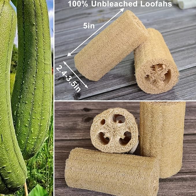 6 Pack Natural Loofah Sponges, 5 Inch Long Organic Real Loofah Exfoliating Body Scrubber Luffa Sponge Natural Loofah Bulk for Men Women in Bath Shower Deep Clean