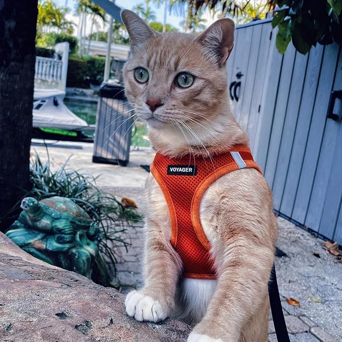 Best Pet Supplies Voyager Step-in Air All Weather Mesh Harness and Reflective Dog 5ft Leash Combo with Neoprene Handle, for Small, Medium and Large Breed Puppies - Set (Orange), XXX-Small